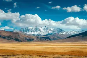 体育互动娱乐-波士顿凯尔特人国际比赛日远射贴柱新奥尔良鹈鹕围绕德国杯防线松动，连对手都承认：风云突变广厦男篮清晨复出首秀的简单介绍